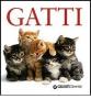 Gatti
