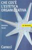 Che cos'� l'estetica organizzativa