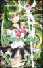 Sailor Moon vol.9