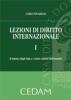 Lezioni di diritto internazionale vol.1