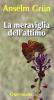 La meraviglia dell'attimo