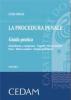Procedura penale. Guida pratica