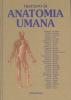 Trattato di anatomia umana vol.2