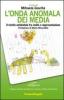 L' onda anomala dei media. Il rischio ambientale tra realt� e rappresentazione