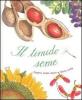 Il timido seme