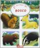 Il bosco