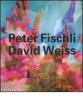 Peter Fischli, David Weiss. Ediz. inglese