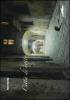 Citt� di notte