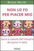 Non lo fo per piacer mio. Storia e costumi dell'industria del porno in Italia