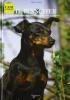 Il pinscher