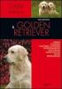 Il golden retriever