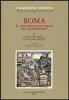 Roma. Le trasformazioni urbane nel Quattrocento vol.2
