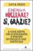 Energia nucleare? S�, grazie? A cosa serve, chi ci guadagna e perch� in Italia � cos� difficile