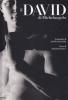 Il David di Michelangelo. Ediz. inglese