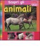 Cavallo. Scopri gli animali