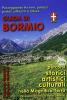 Guida di Bormio. Passeggiando fra torri, palazzi, portali, affreschi e chiese. Percorsi storici, artistici e culturali nella magnifica terra