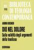 Dio nel dolore. Sulla validit� degli argomenti della teodicea