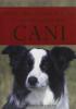 Tutto quello che avreste voluto sapere sui cani