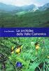 Le orchidee della Valle Camonica