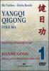 Yangqi Qigong. DVD vol.3