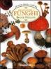 Riconoscere i funghi