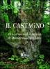 Il castagno e il museo della castagna di Montegrosso Pian Latte