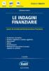 Le indagini finanziarie