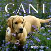 Cani