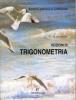 Nozioni di trigonometria nell'ambito dell'edilizia e dell'ambiente. Per gli Ist. Tecnici