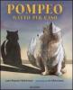 Pompeo, gatto per caso
