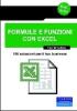 Formule e funzioni con Excel. 100 soluzioni per il tuo business