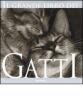 Il grande libro dei gatti