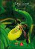 Orchidee spontanee del Veneto