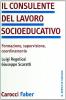 Il consulente del lavoro socio-educativo