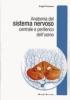 Anatomia del sistema nervoso centrale e periferico dell'uomo