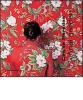 Cecilia Paredes. The final garden