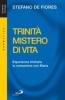 Trinit� mistero di vita. Esperienza trinitaria in comunione con Maria