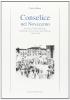 Conselice nel Novecento. Le piazze della memoria: Conselice, Lavezzola, San Patrizio (1890-1990)