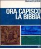 Ora capisco la Bibbia. Studio sulle forme letterarie della Bibbia