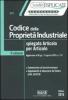 Codice della propriet� industriale spiegato articolo per articolo