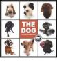 The dog