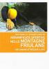 Arrampicate sportive nelle montagne friulane. Vie lunghe attrezzate a spit. Ediz. italiana e inglese