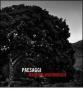 Paesaggi