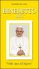 Benedetto XVI. �Nella vigna del Signore�