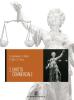 Diritto. Per le Scuole superiori vol.2