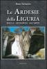 Le Ardesie della Liguria. Dalla geologia all'arte