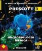Microbiologia medica vol.3