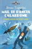 Mal di pancia Calabrone