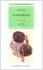 L' adozione. Testo inglese a fronte