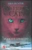 Fuoco e ghiaccio. Warrior cats